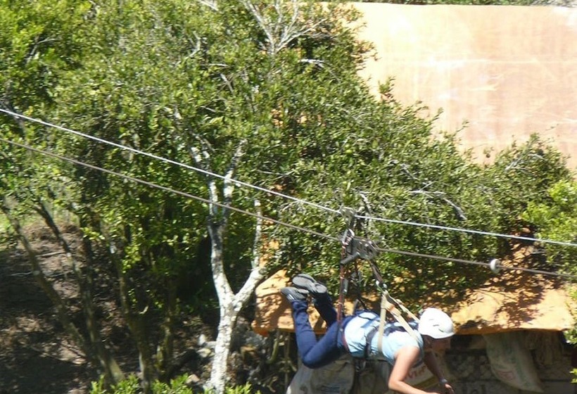 Bed and Breakfast Hostal & Spa Casa Real