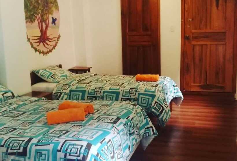 Bed and Breakfast Hostal & Spa Casa Real