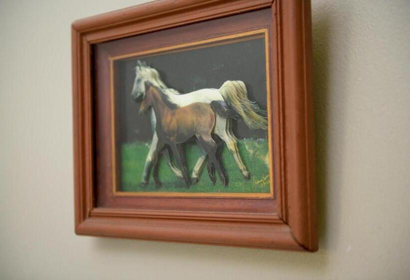 Bernie S Bed & Breakfast , A 3 Kilometros Del Aerop Ezeiza, Van ,in Out, Free Ezeiza Airport