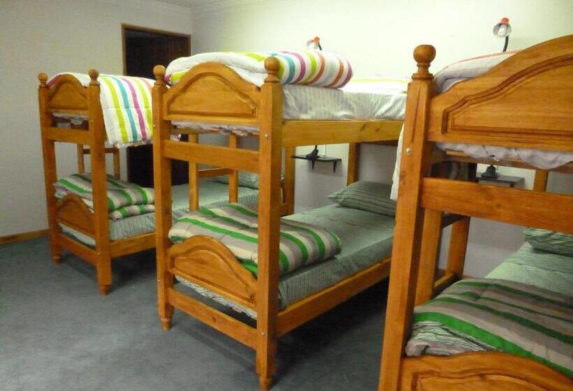 Hostel De Los Artistas