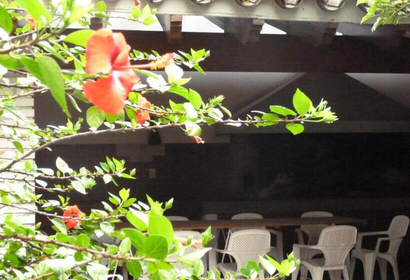 Hostel De Los Artistas