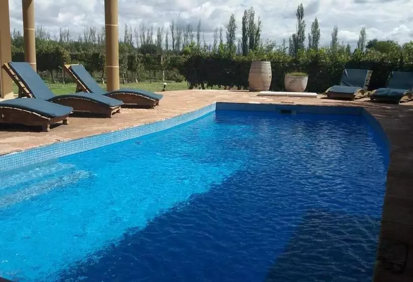هتل Chaglasian Wine & Suites