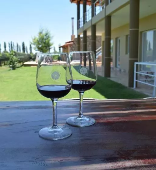 هتل Chaglasian Wine & Suites