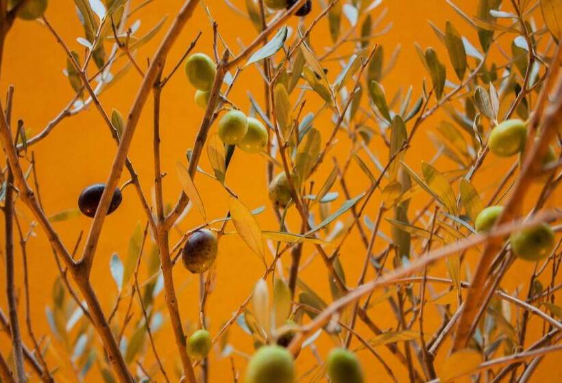 هتل L Adresse Hôtel Boutique