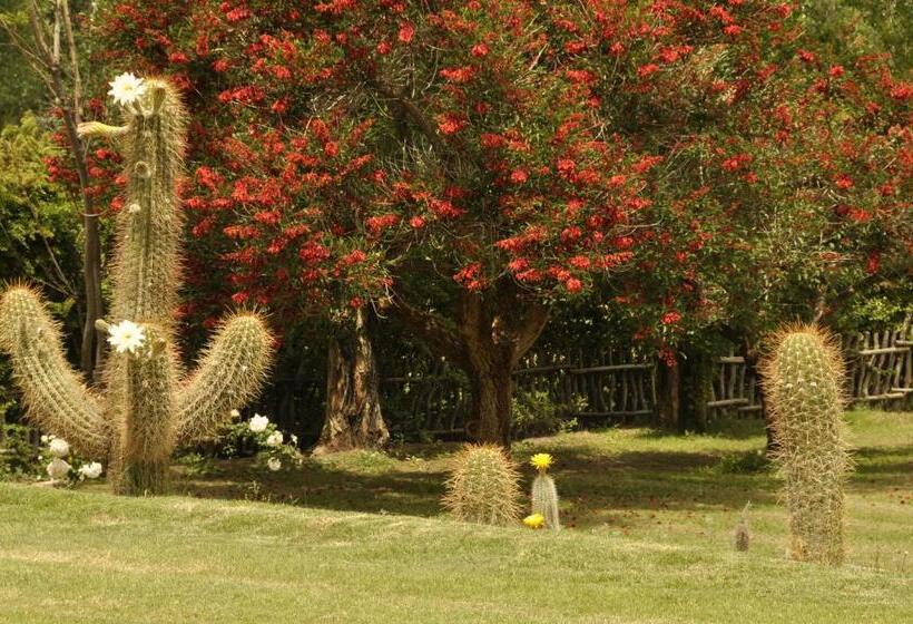 호텔 Pircas De Puyuta