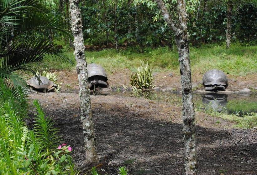 Hotel Semilla Verde Boutique