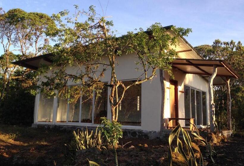 Hotel Semilla Verde Boutique