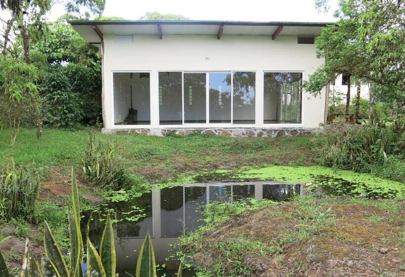 Hotel Semilla Verde Boutique