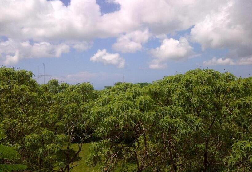 Hotel Semilla Verde Boutique