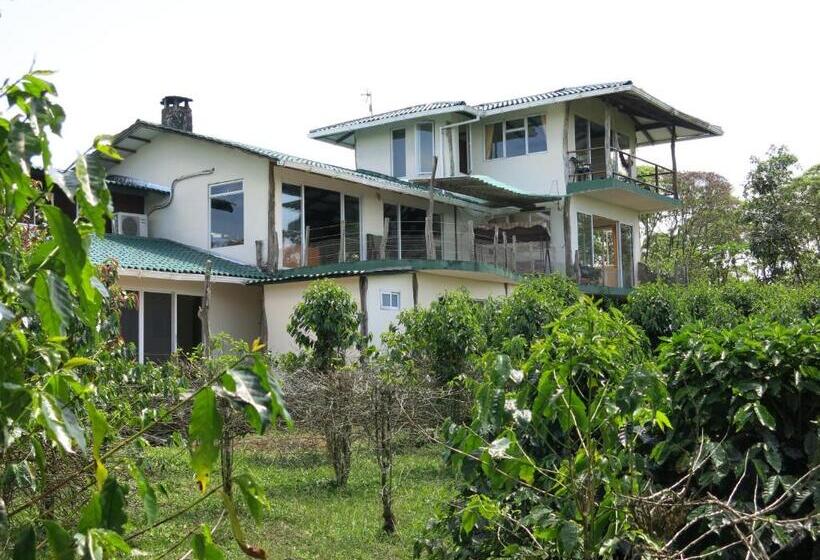 Hotel Semilla Verde Boutique