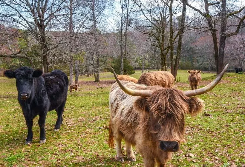 Clarkesville  Rustic Hideaway  On 38 Acre Farm!