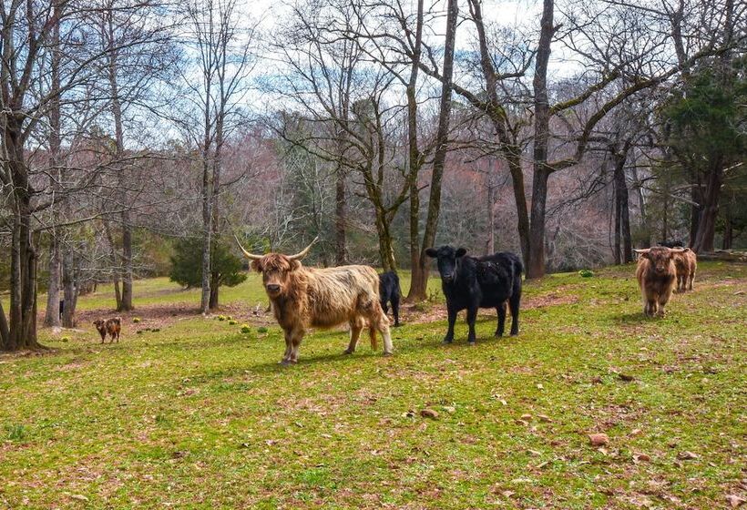 Clarkesville  Rustic Hideaway  On 38 Acre Farm!