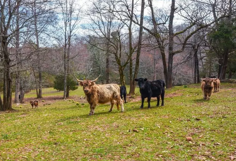 Clarkesville  Rustic Hideaway  On 38 Acre Farm!