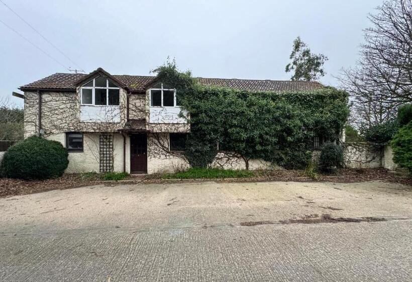 ベッドアンドブレックファースト The Brambles Retreat In The Mournes