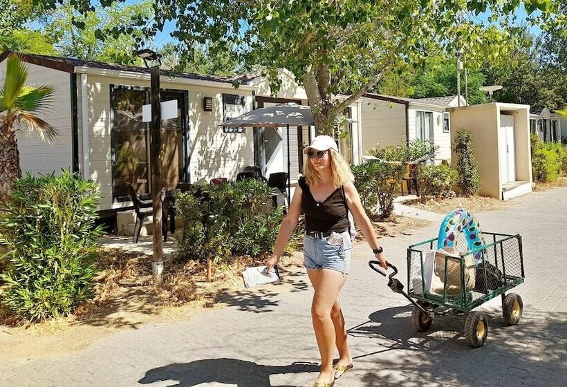 膳宿费 Camping Domaine Du Golfe De Saint Tropez