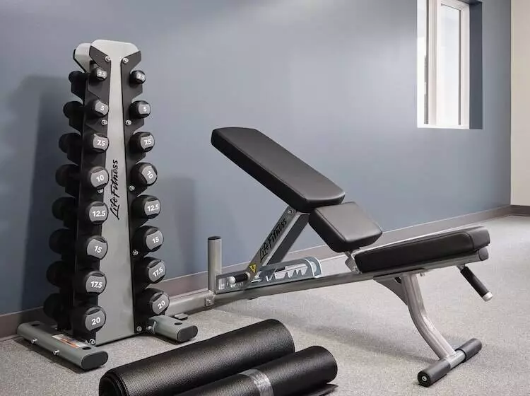 Stayapt Suites College Station