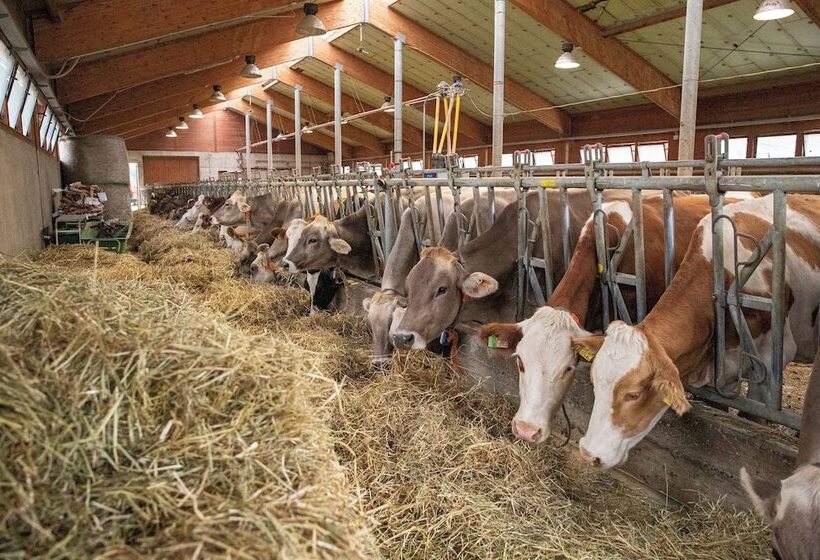 בית מלון כפרי Agriturismo Rini