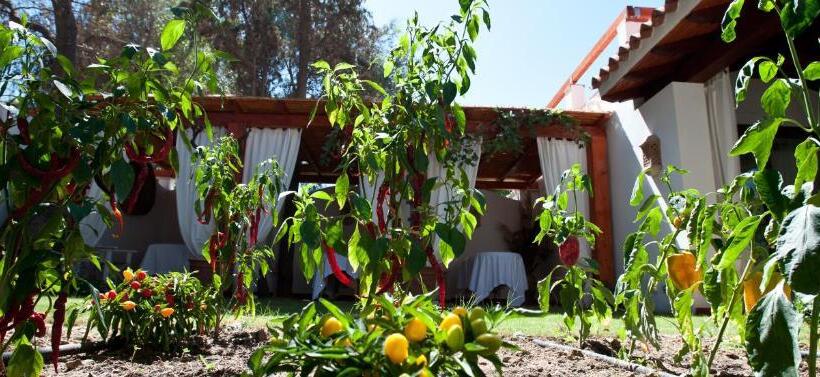 Nora Club Hotel & Spa