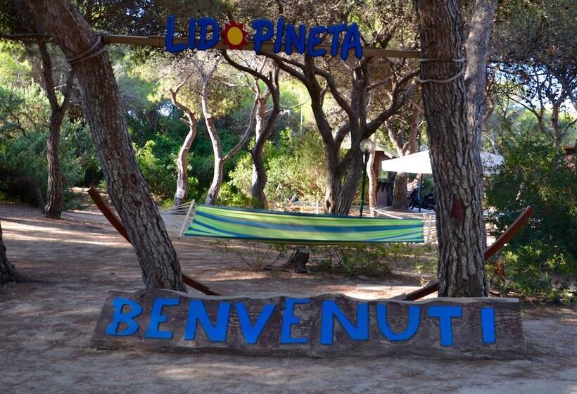 酒店 Salento Mirfran