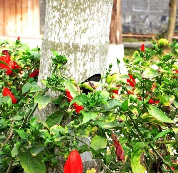 Whisper Nature Bungalow & Resort