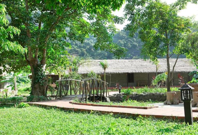 Whisper Nature Bungalow & Resort