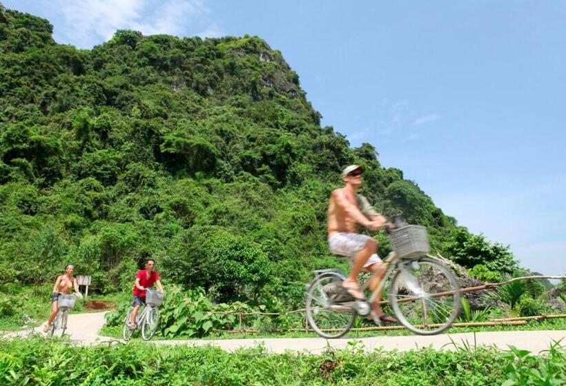 Whisper Nature Bungalow & Resort