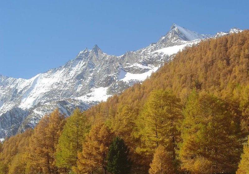 فندق Alouette (029a14)