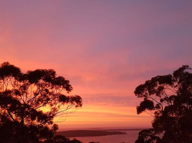 호텔 Bed In The Treetops Bed & Breakfast