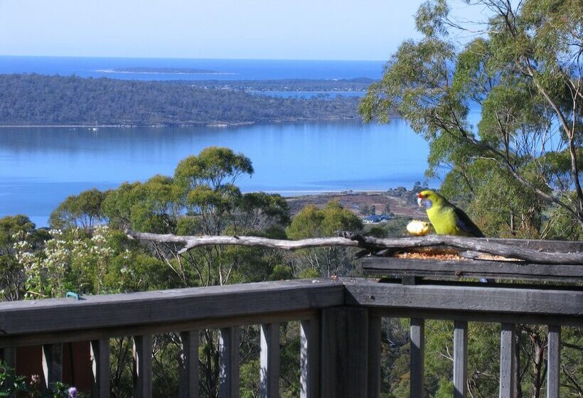 호텔 Bed In The Treetops Bed & Breakfast