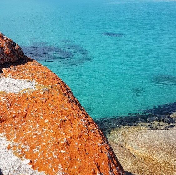 호텔 Bed In The Treetops Bed & Breakfast