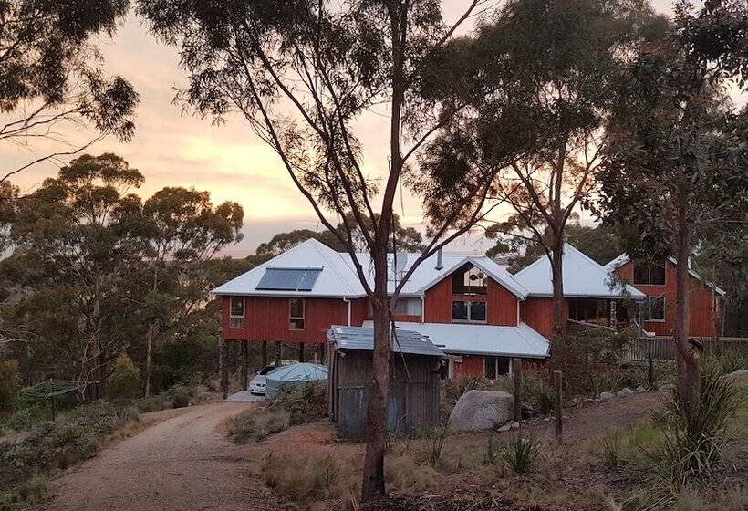 호텔 Bed In The Treetops Bed & Breakfast