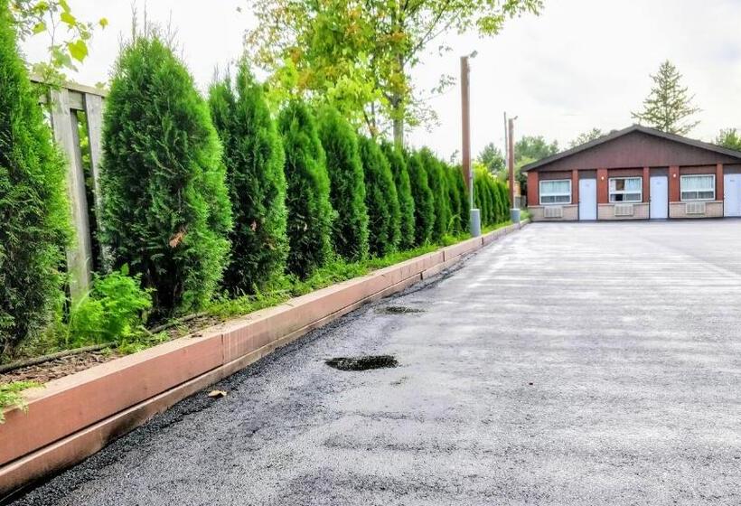 호텔 Kings Inn Midland