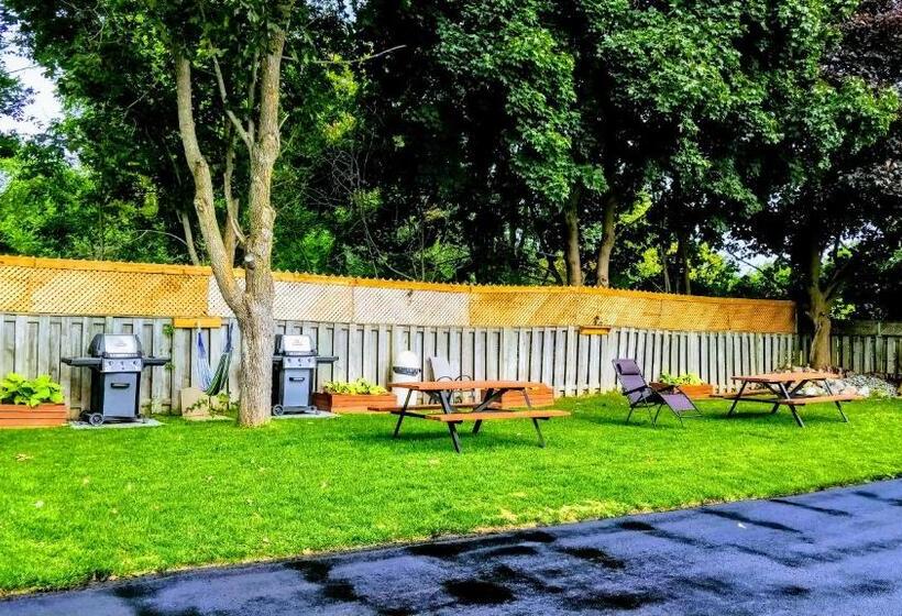 호텔 Kings Inn Midland