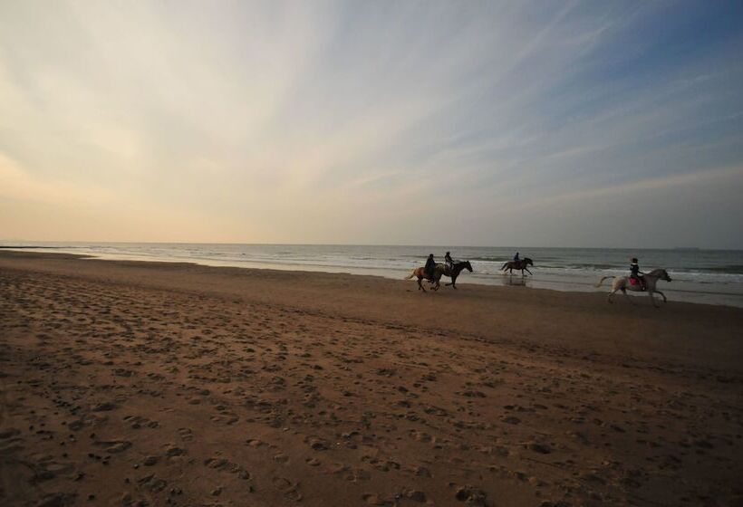 فندق Maison Du Nord Bed & Breakfast