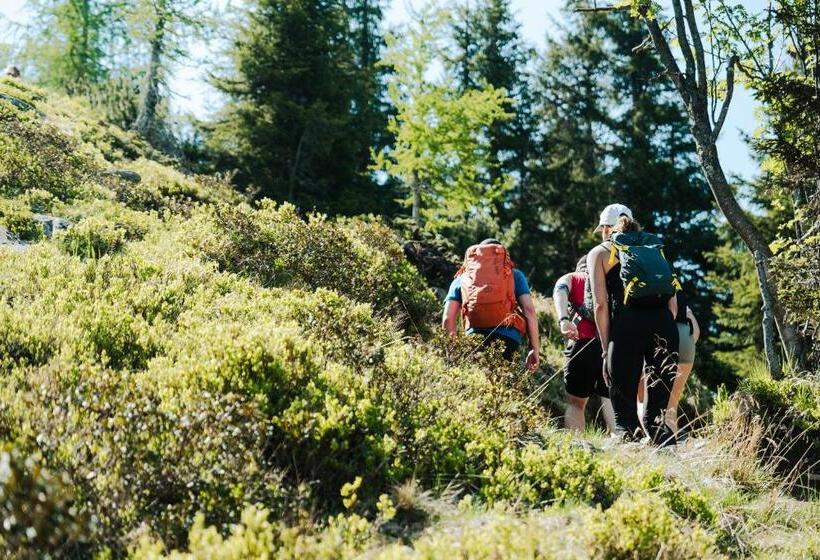 Otel Mountain Hostel