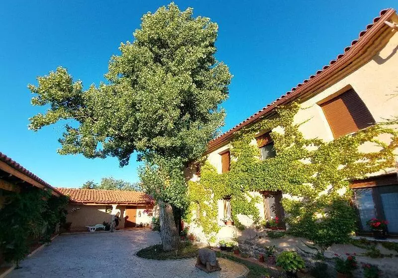 Hotelli Green Lady Termal Resort