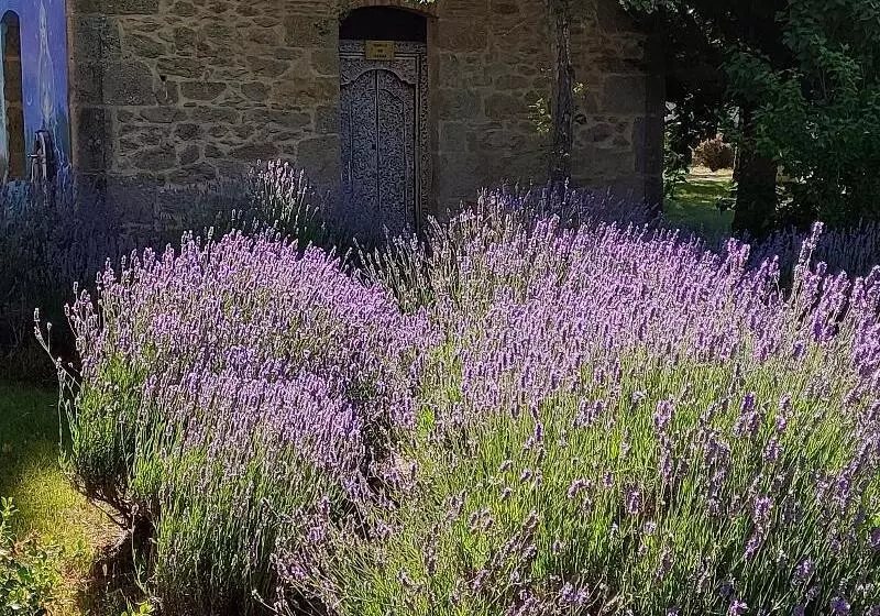 Hotelli Green Lady Termal Resort