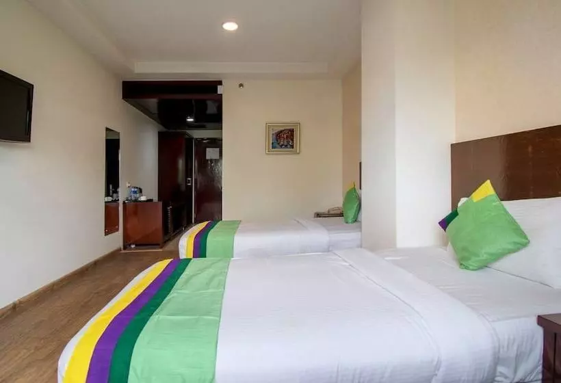 Hotelli Dr Indraaprasthaa