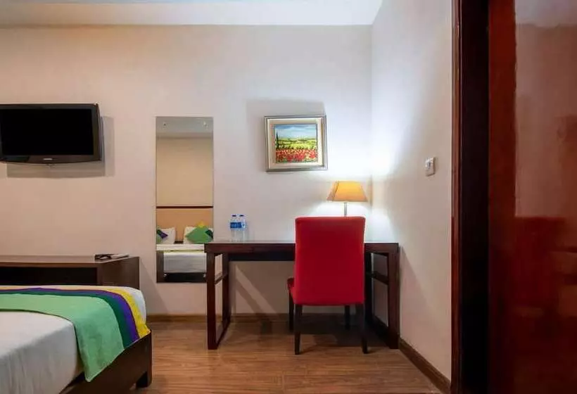 Hotelli Dr Indraaprasthaa