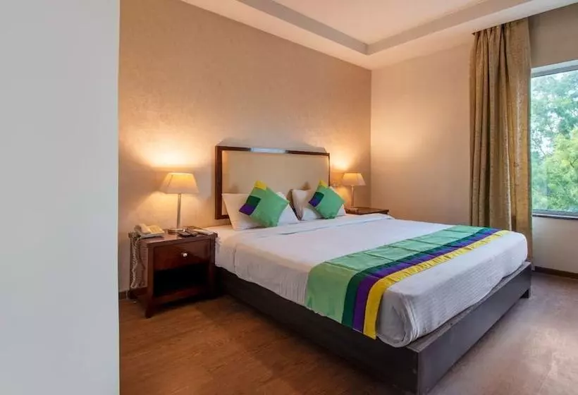 Hotelli Dr Indraaprasthaa