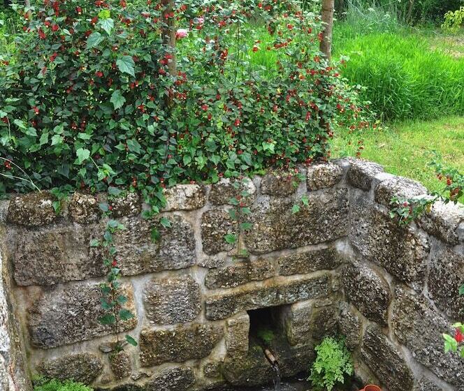 Pensione Room In B&b Paradise Is Real At Vale Martinho Sherazad