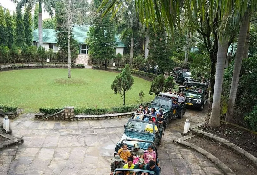 Village Machaan Resort