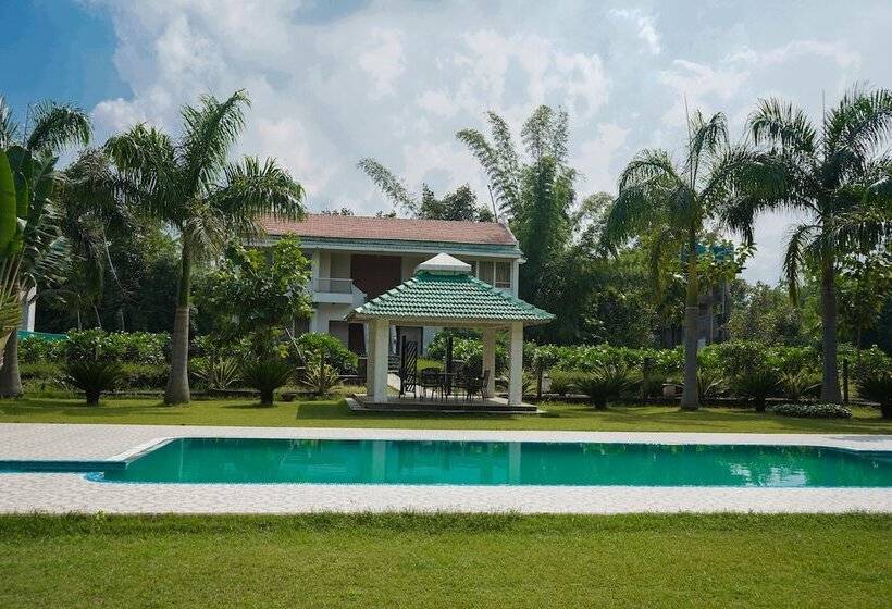 Village Machaan Resort