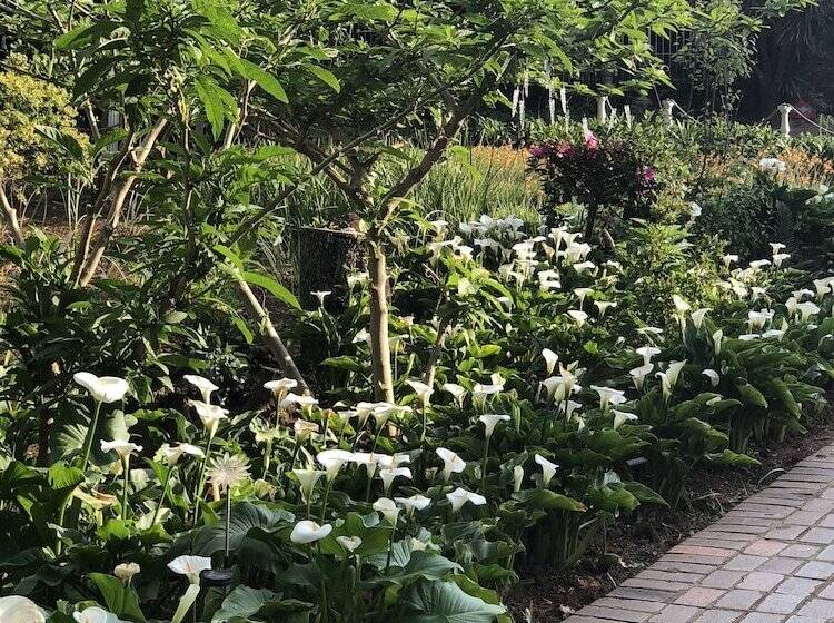 旅馆 Elsjes Guesthouse