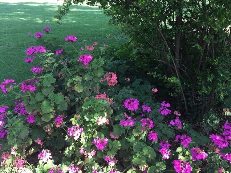 旅馆 Elsjes Guesthouse