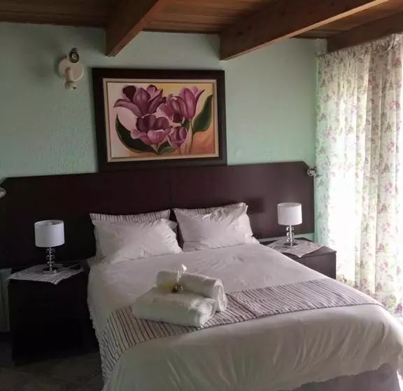 ユースホステル Elsjes Guesthouse