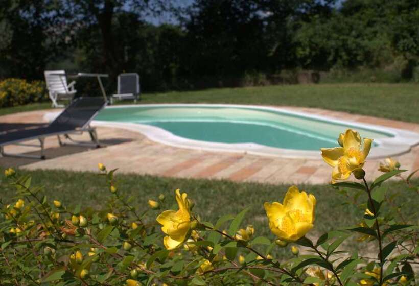 ベッドアンドブレックファースト Casa Il Girasole Con Piscina Nelle Marche