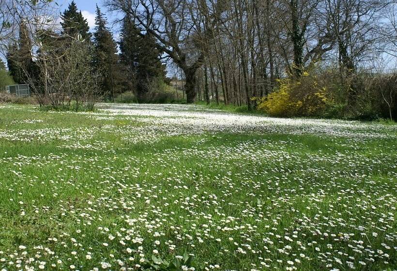 ベッドアンドブレックファースト Casa Il Girasole Con Piscina Nelle Marche