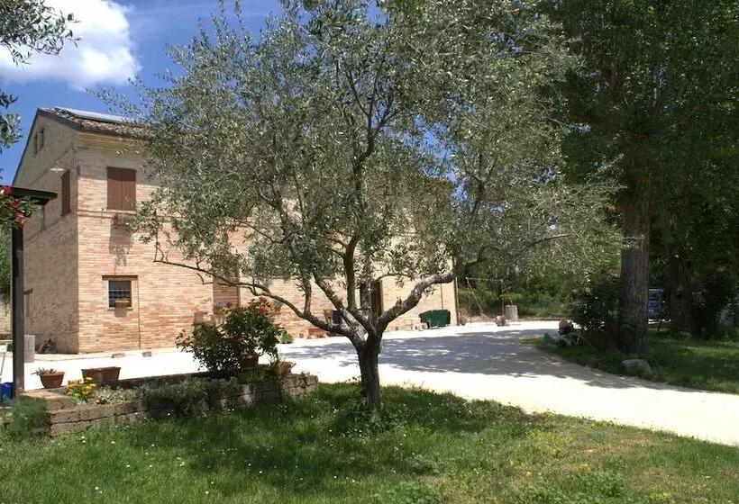 Aamiaismajoitus (B&B) Casa Il Girasole Con Piscina Nelle Marche
