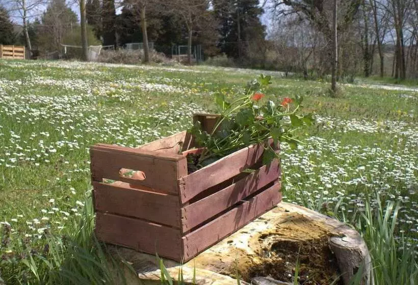 Aamiaismajoitus (B&B) Casa Il Girasole Con Piscina Nelle Marche